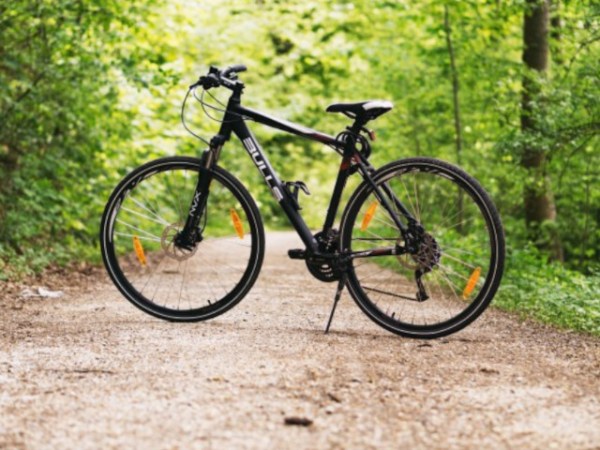 Leões do Sul vão levar a cabo travessia de bicicleta entre Troia e Castro&nbsp;Marim