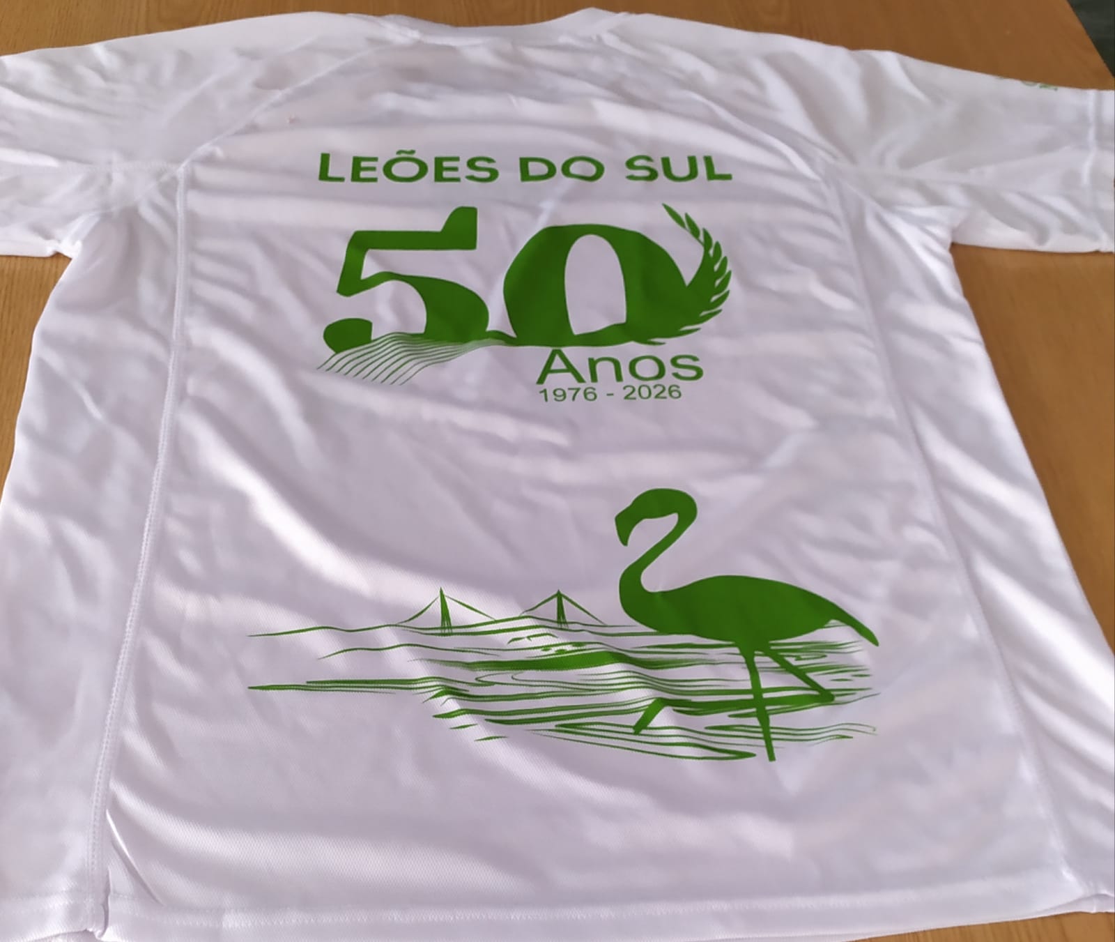 Leões do Sul FC 50 anos